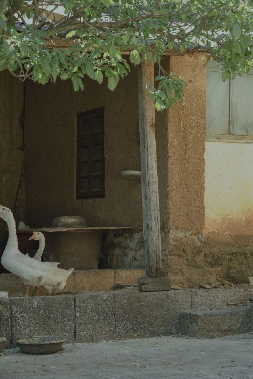 谢柯新作丨大理 · 下山口温泉院子丨中国大理丨谢柯,支鸿鑫,刘晓婕,孔祥喜,杨琳悦-24