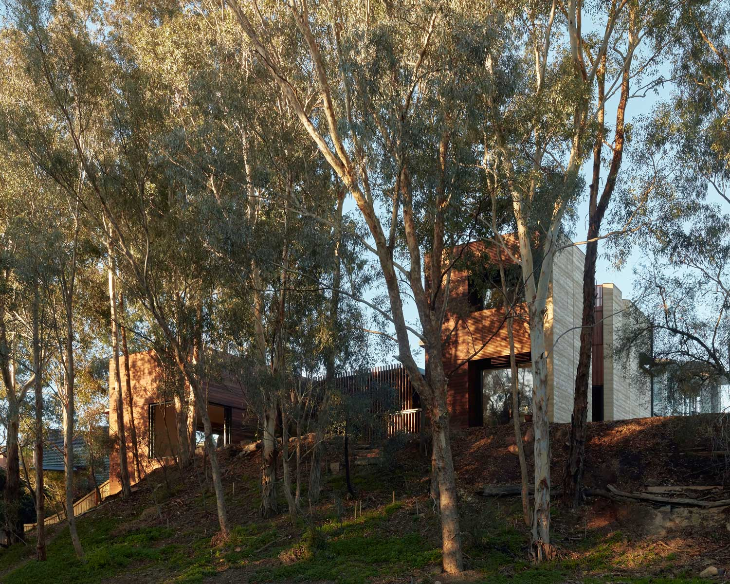 埃德加的别墅 EDGAR’S CREEK HOUSE / Breathe Architecture-13