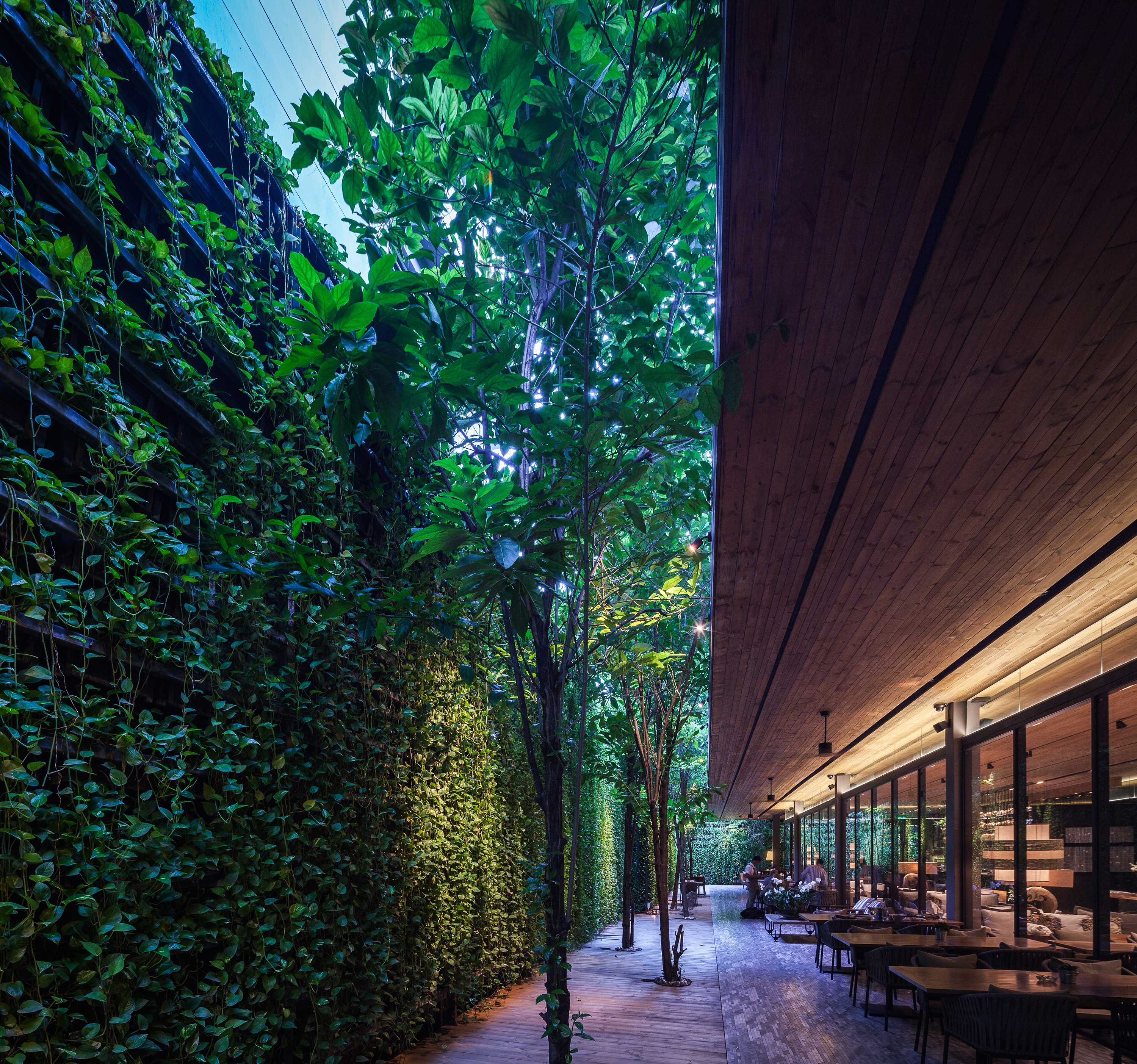 曼谷繁华区的绿色秘境 | 榕树下的 Ad Lib 酒店花园-25
