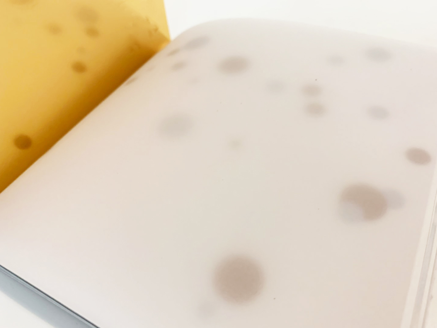 2019 印度臺灣形象展文化臺灣館-3