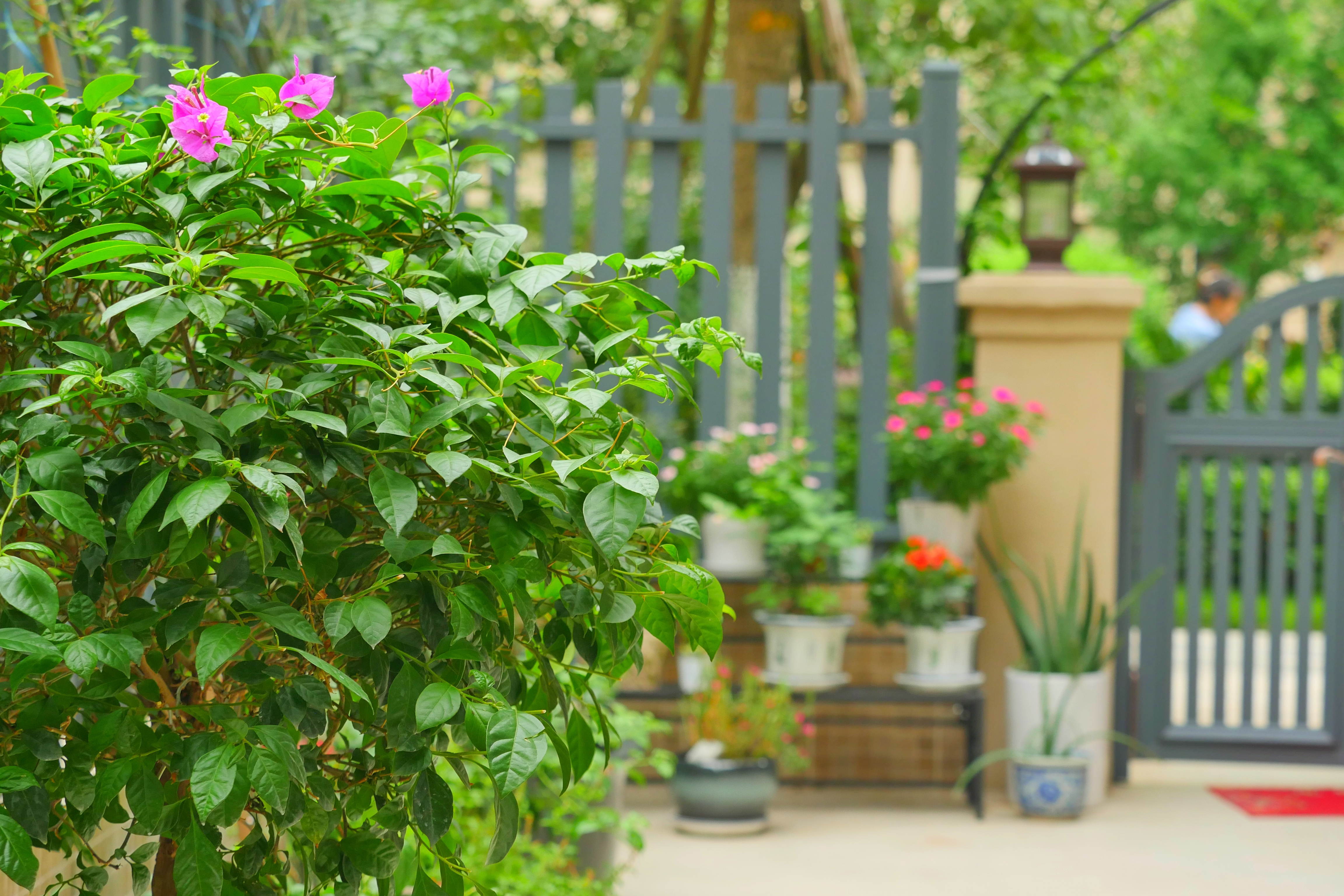 350 平现代轻奢王宅丨FIONA 信菲-20