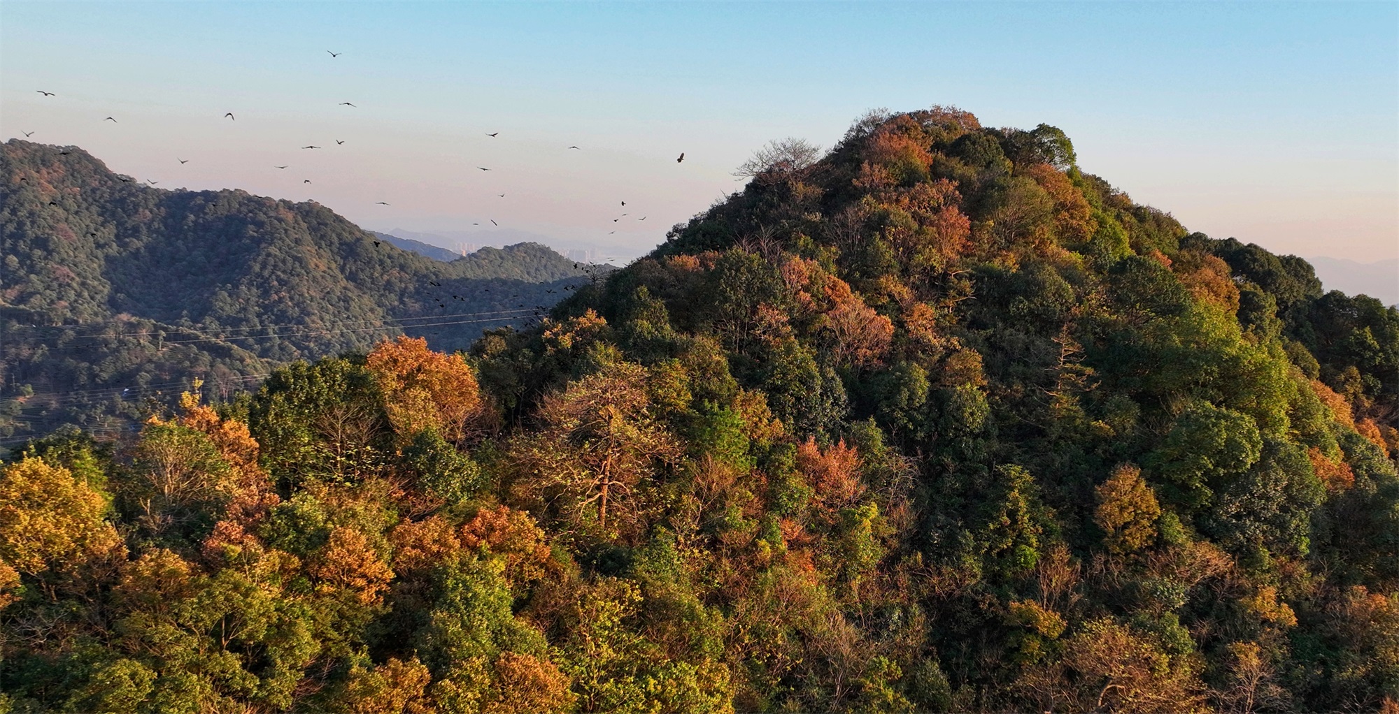 汖墟丨中国杭州丨山山园林-20