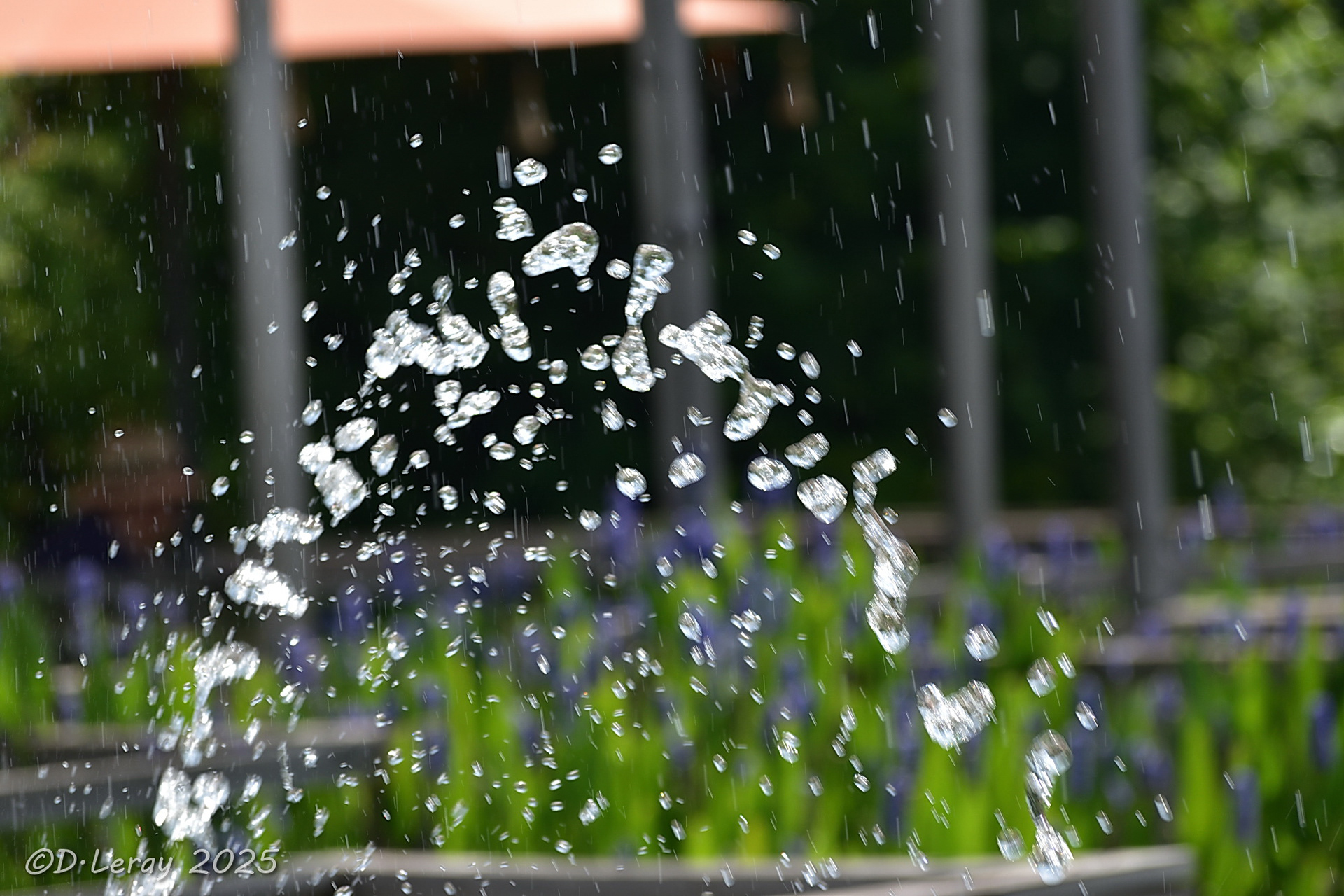 Jardins d'eau Carsac Aillac (24)-7
