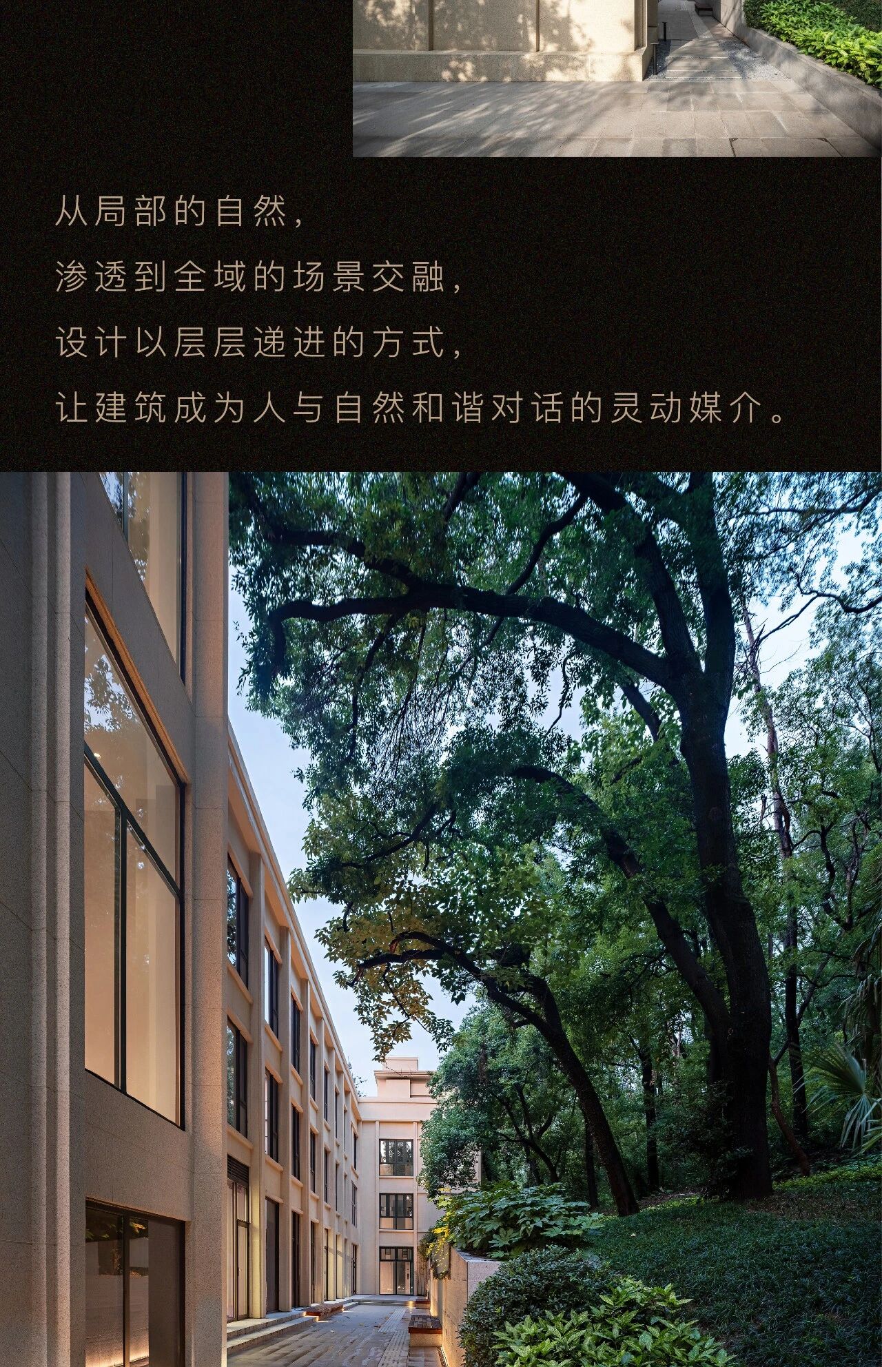 新作  武汉大学董辅丨PAL设计-21