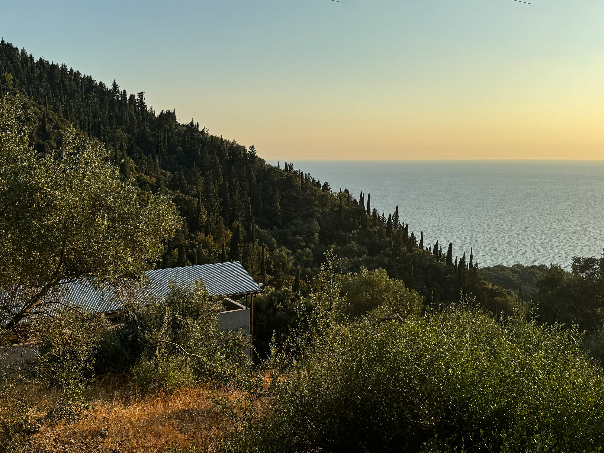 橄榄林中的房子丨希腊丨Invisible Studio-40