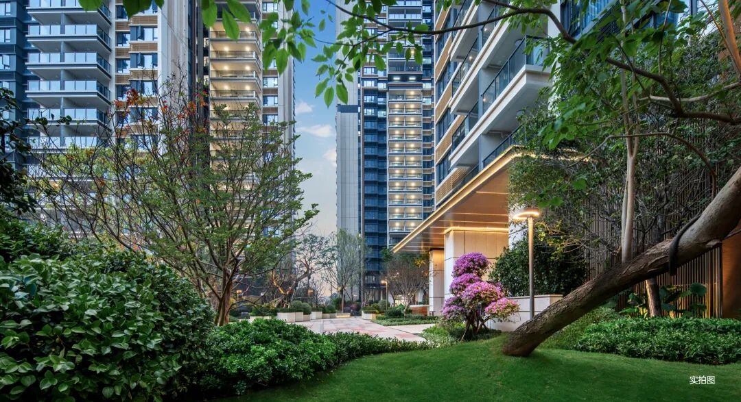 中央公园8栋上新|生活进化论居住新尺度-110