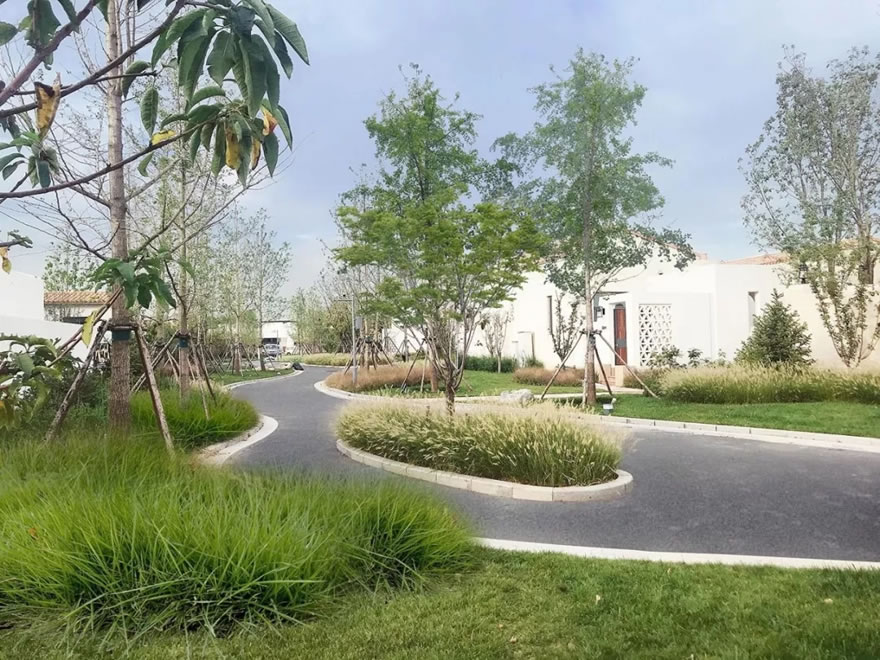 秦皇岛阿那亚度假区D4项目-53