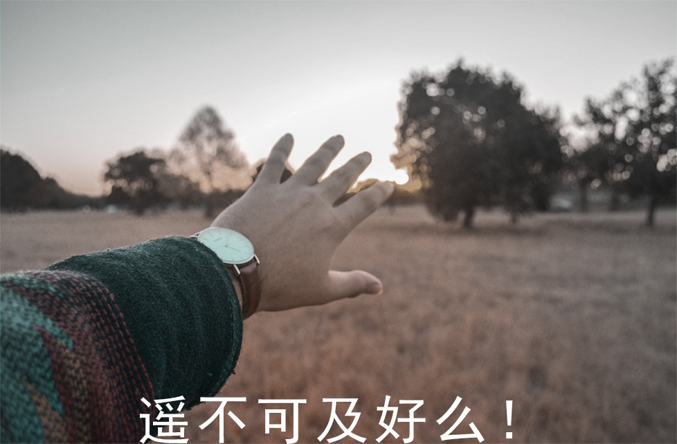 面朝大海,春暖花开——自然环抱的幼儿园设计-9