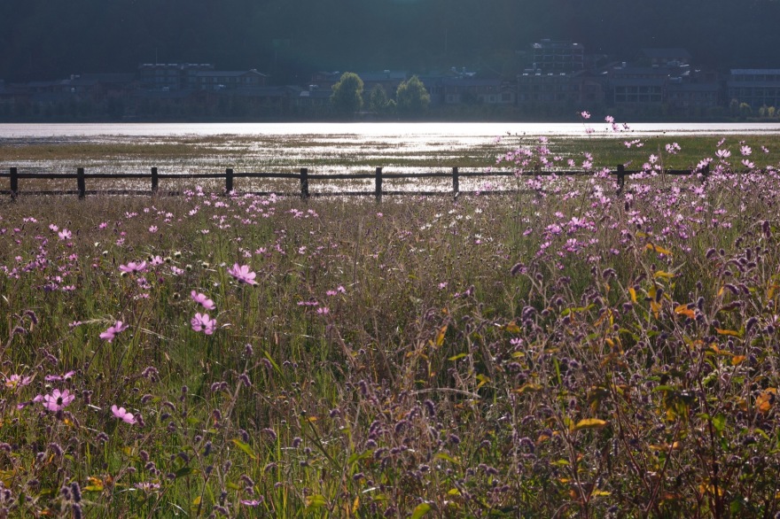 泸沽湖岚岳海子花园丨中国丽江丨Z’scape致舍景观(景观),尚壹扬设计(建筑及室内)-82