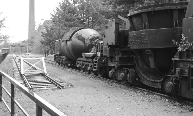 “老虎与乌龟”丨德国丨德国艺术家乌尔里希·根茨和海克·穆特-98