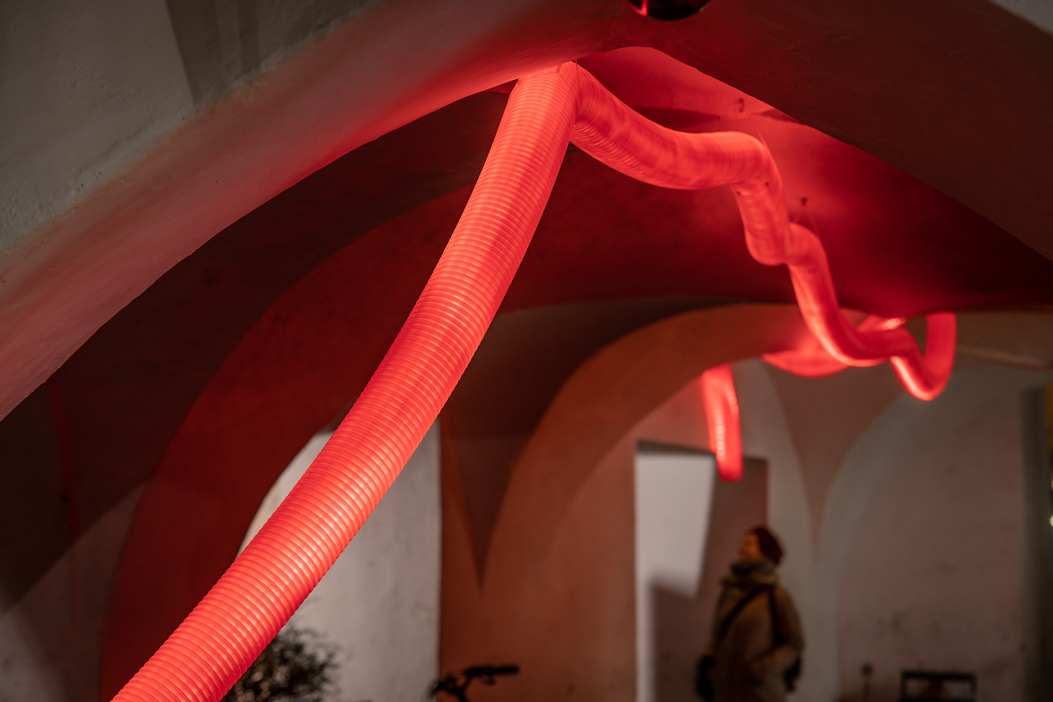 卡米在低语森林-21