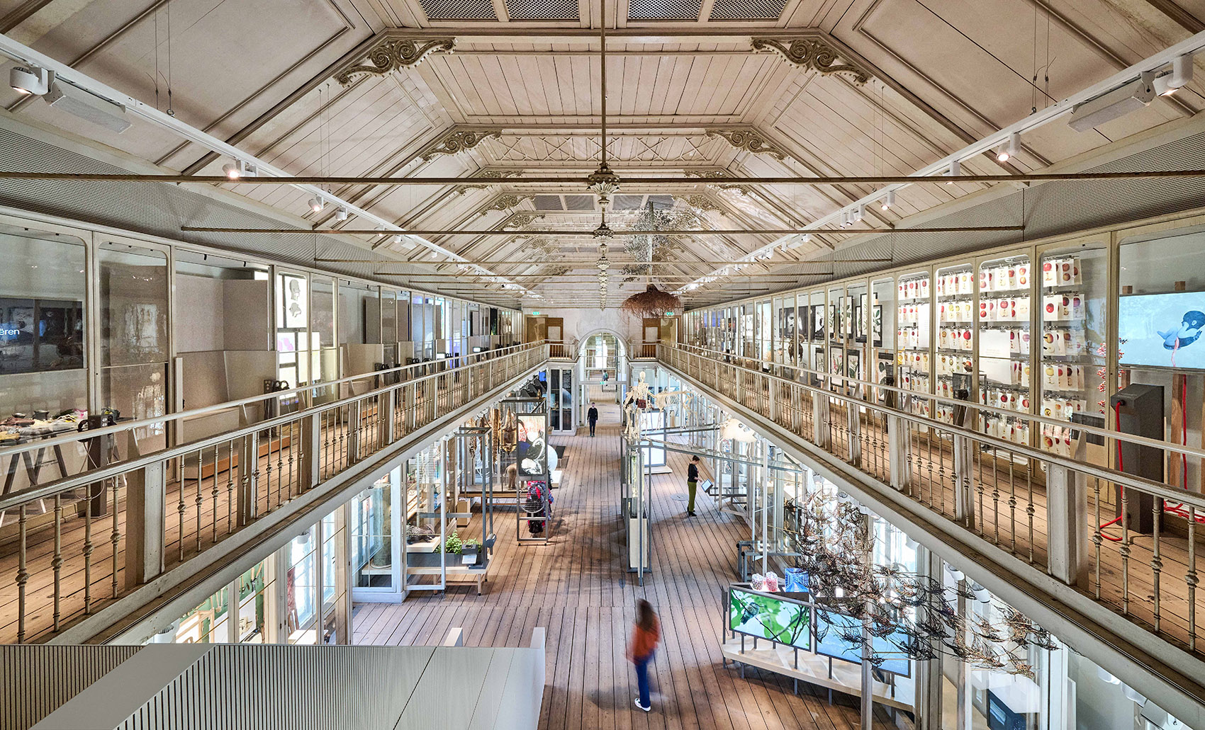 荷兰 Groote 博物馆丨Kossmanndejong+ARTIS-13