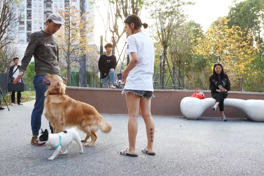 深圳福田区景田北社区公园群-48