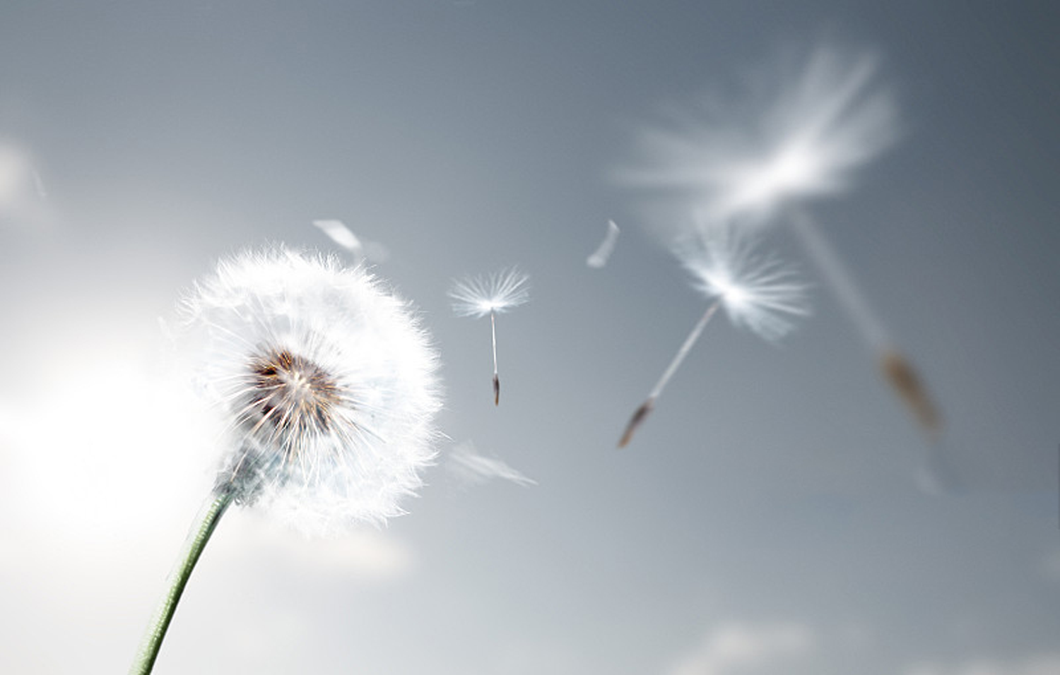 惠州蝶变·云帆国际艺术设计公司的自然共生空间丨中国惠州丨深圳市云帆国际艺术设计有限公司-22