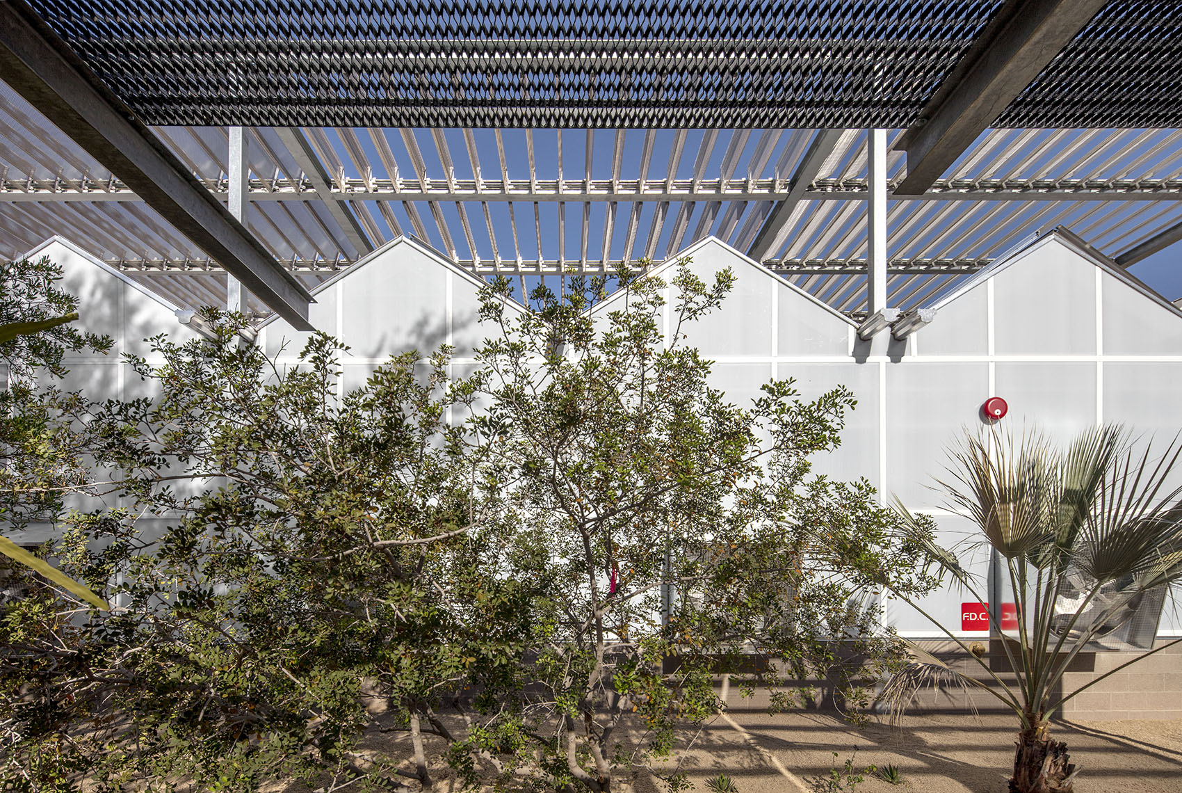 沙漠植物园一期丨美国-32