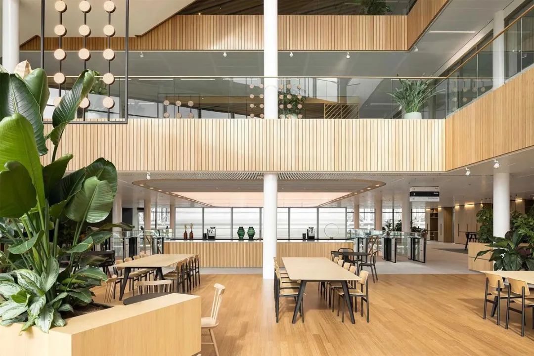 Galapagos企业总部丨荷兰丨CBRE-41