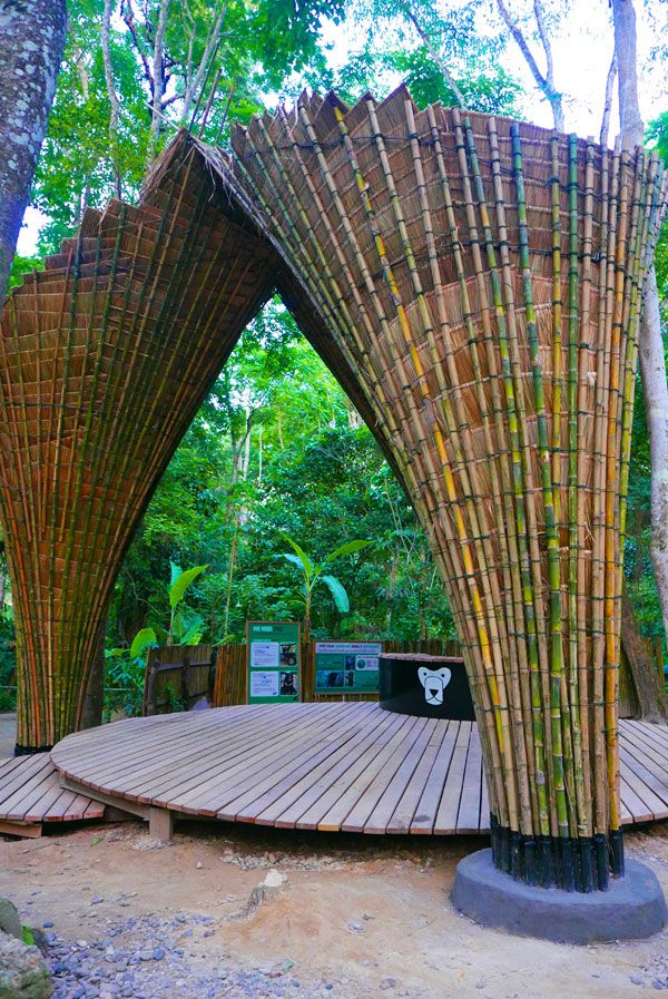 “Free the Bears”竹制新店丨老挝琅勃拉邦丨Atelier COLE-31