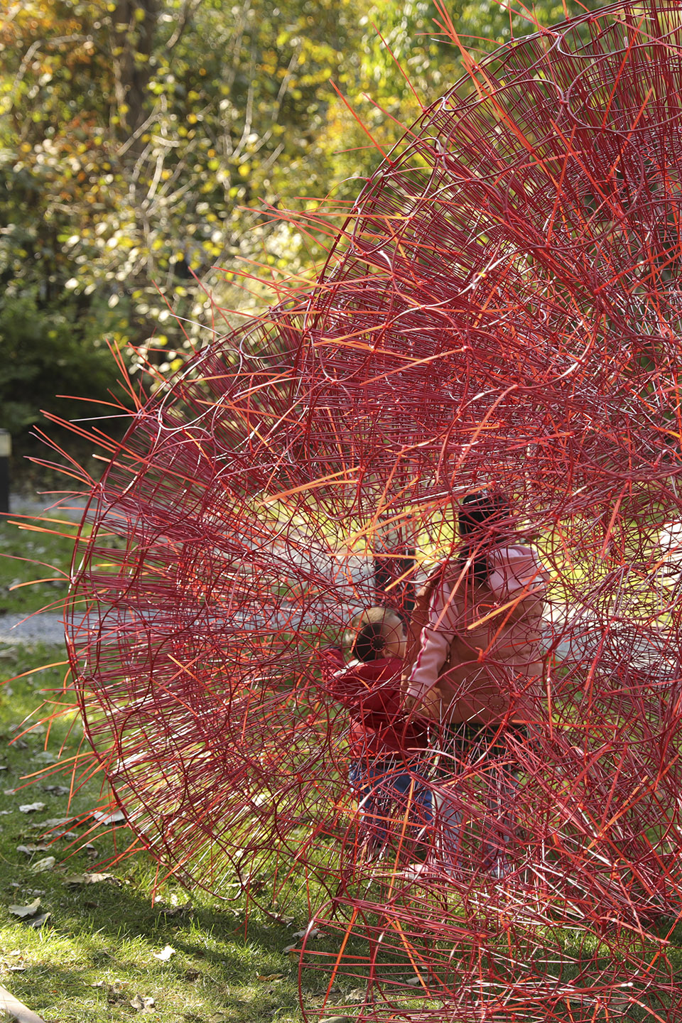 丹岩丨中国北京丨北京林业大学-117