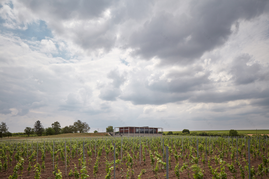 Obelisk酒庄,捷克 / AiD team a.s.-4