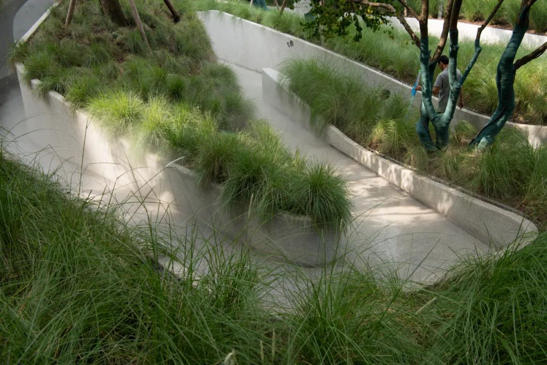 穿水公园——麓湖活水公园首开段 | Lab D+H 实践-30