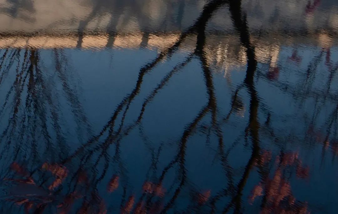 湖光潋滟景，坐看云起时 | 扬州金辉栖湖云庭-31