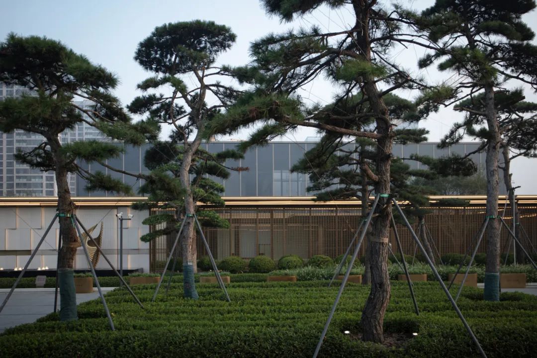 和熙碧影迎明月 | 绿城·沁香园-40