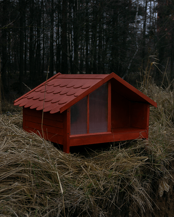 Кошкин дом(猫的房子)丨文本未明确提及-3