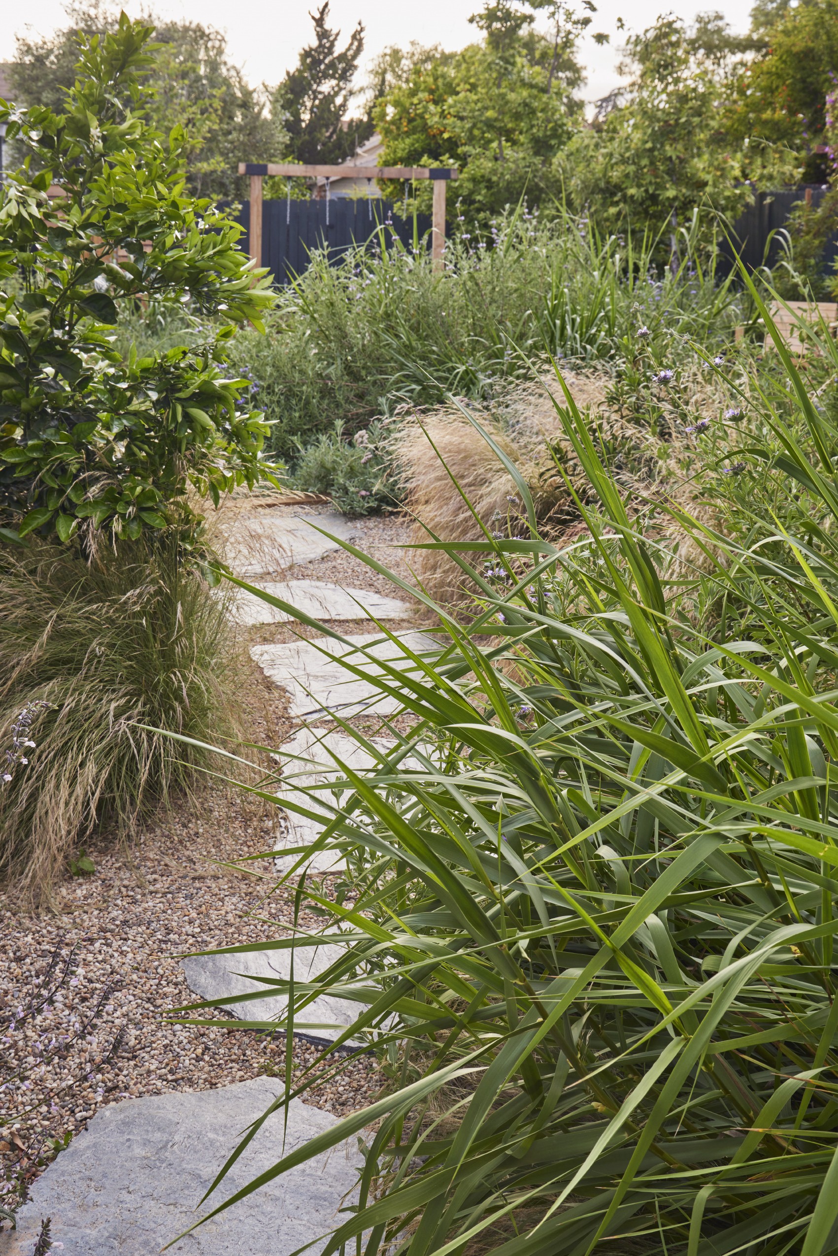 用时间酝酿，为孩子们创造的野趣花园丨美国丨TERREMOTO-27