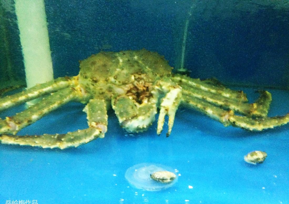 "八鲜过海"复古风室内设计,打造美食与回忆的温馨空间-71