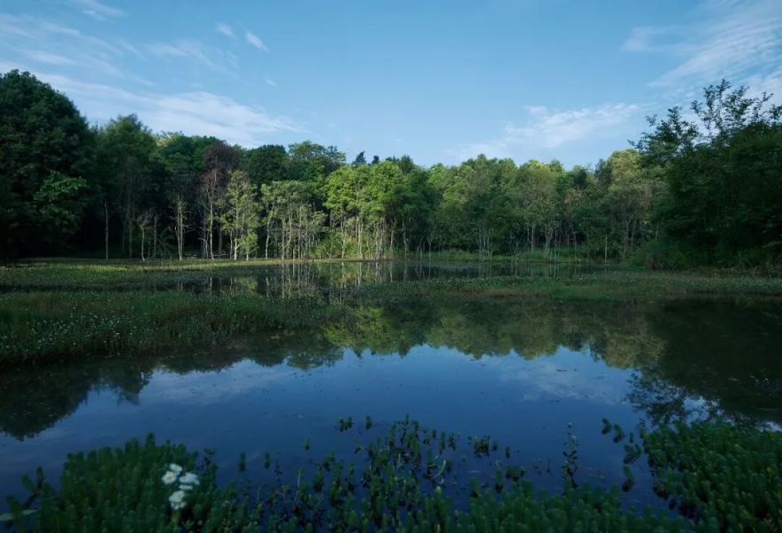 城市掌心的生态山野——麓野公园-174