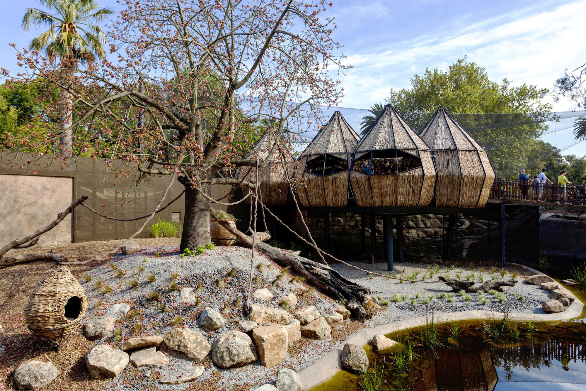 Lemur Exhibit   Snowdon Architects-19