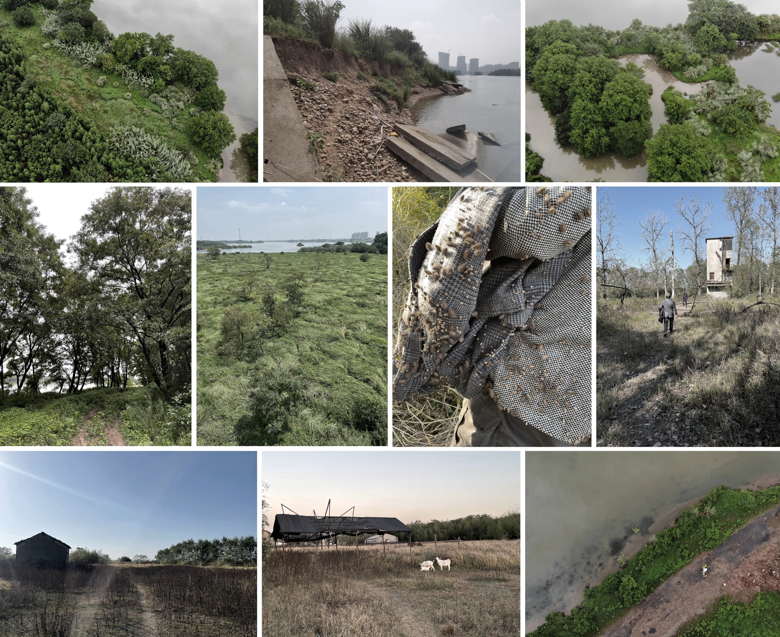 凤翔洲水文化公园丨中国衢州丨张唐景观-9