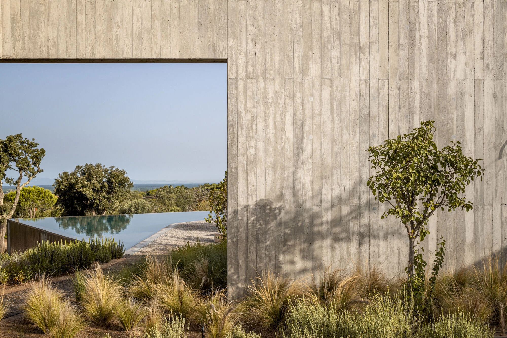 民宿建筑丨葡萄牙丨Aires Mateus Architects-61