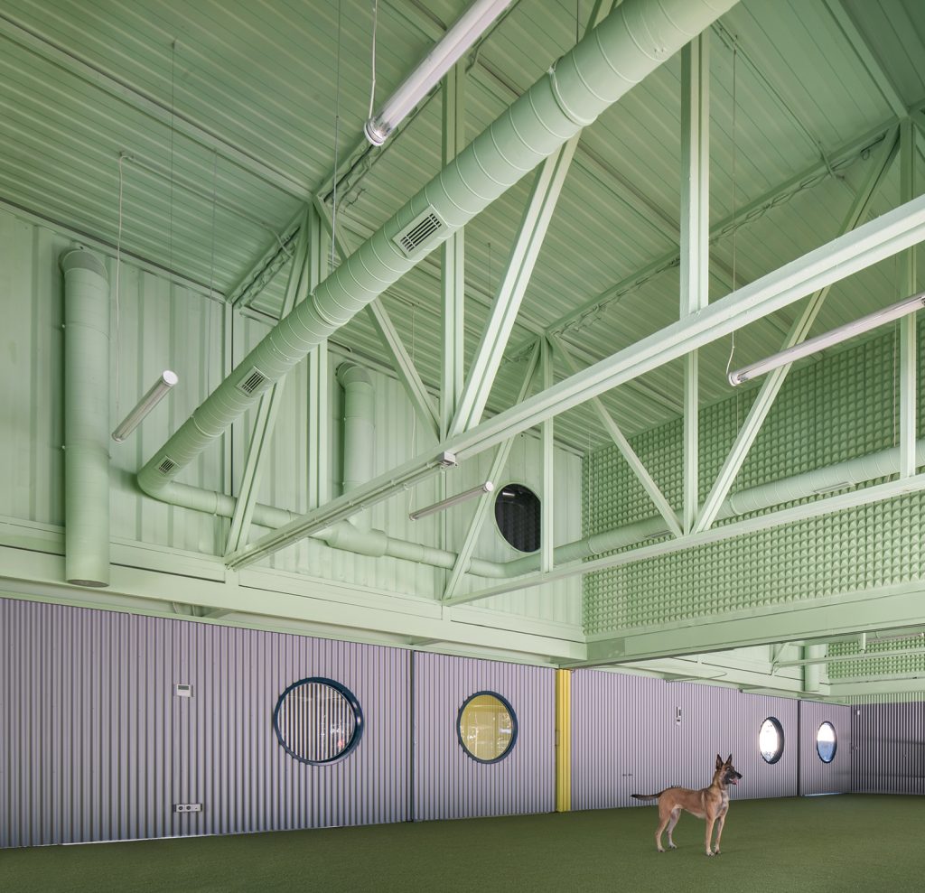 西班牙布鲁内特犬类培训学校丨西班牙马德里-1