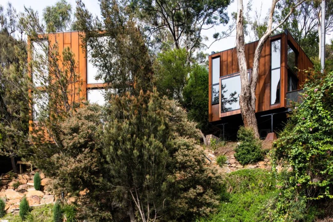 塔斯马尼亚山脊上的迷你鸟舍工作室丨澳大利亚朗塞斯顿丨Birdhouse工作室-19