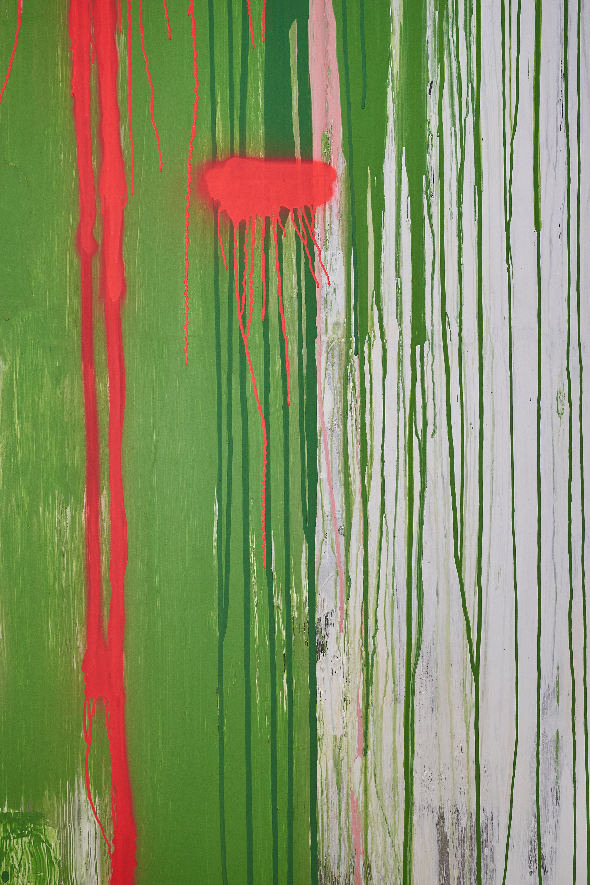 动物弹出窗口丨俄罗斯圣彼得堡丨DA Bureau-18