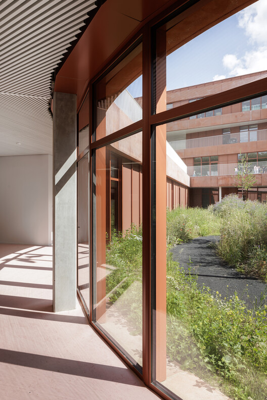 Theodoor 儿童校园丨比利时丨cuypers & Q architecten-21