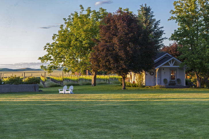 小型科茨风格宠物友好住宅-26
