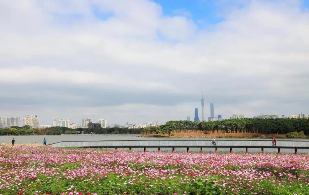 花漾广州 · 四季繁花的花城时空丨中国广州丨GZPI景观与旅游规划设计所-21