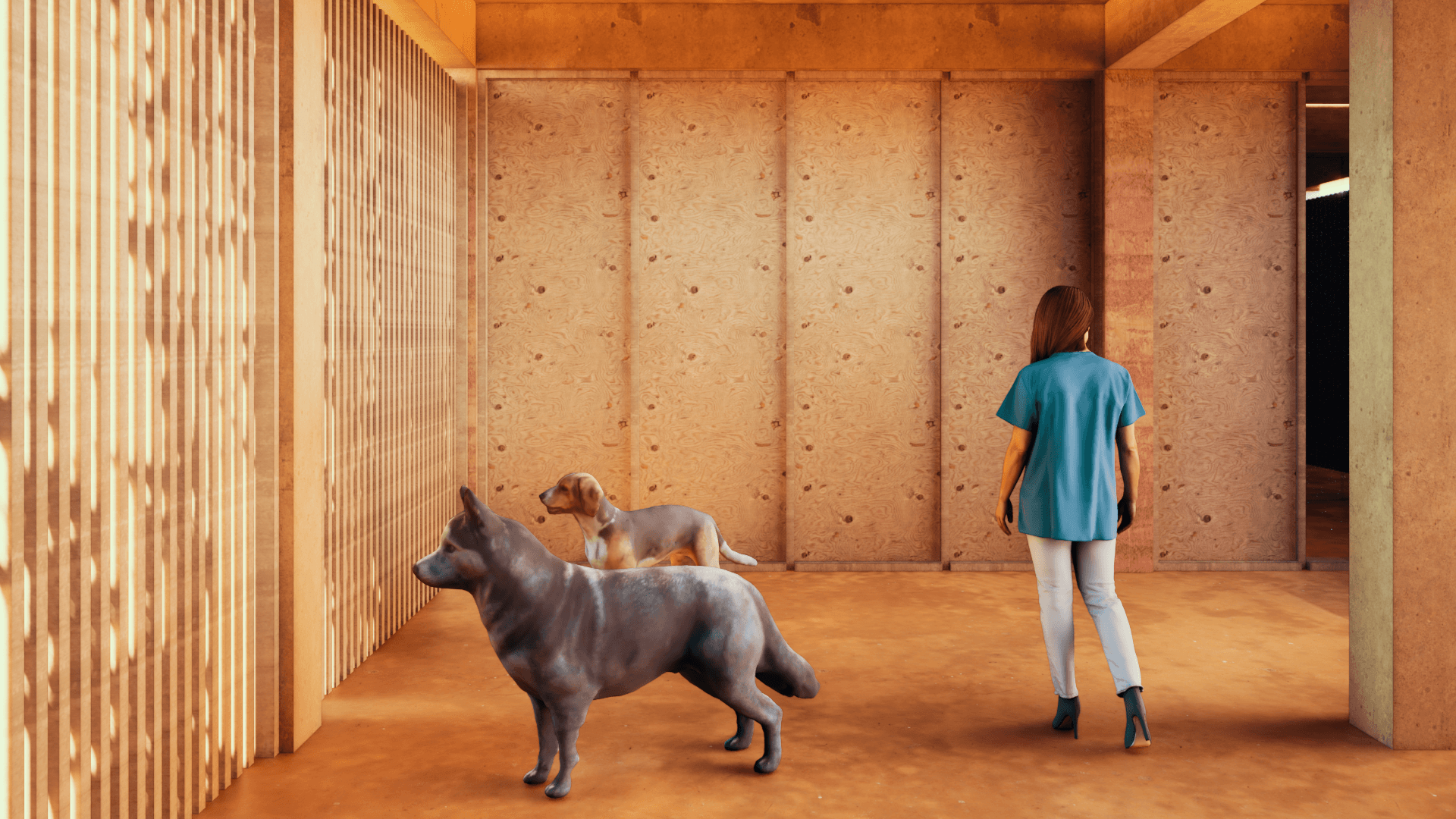 Casa Hogar "Manchas y Rayas"-7