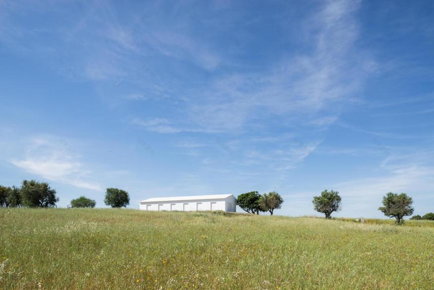 葡萄牙 Azaruja 村旅游项目 · Monte da Azarujinha-45