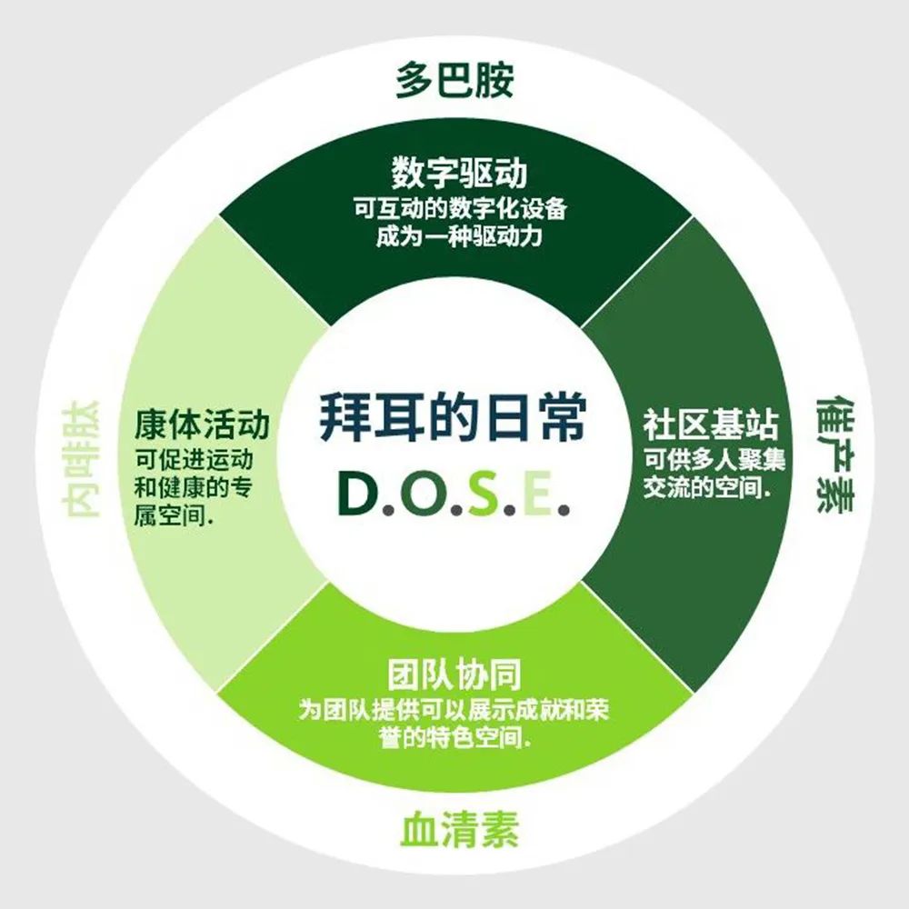 拜耳北京办公室丨中国北京丨Gensler-16