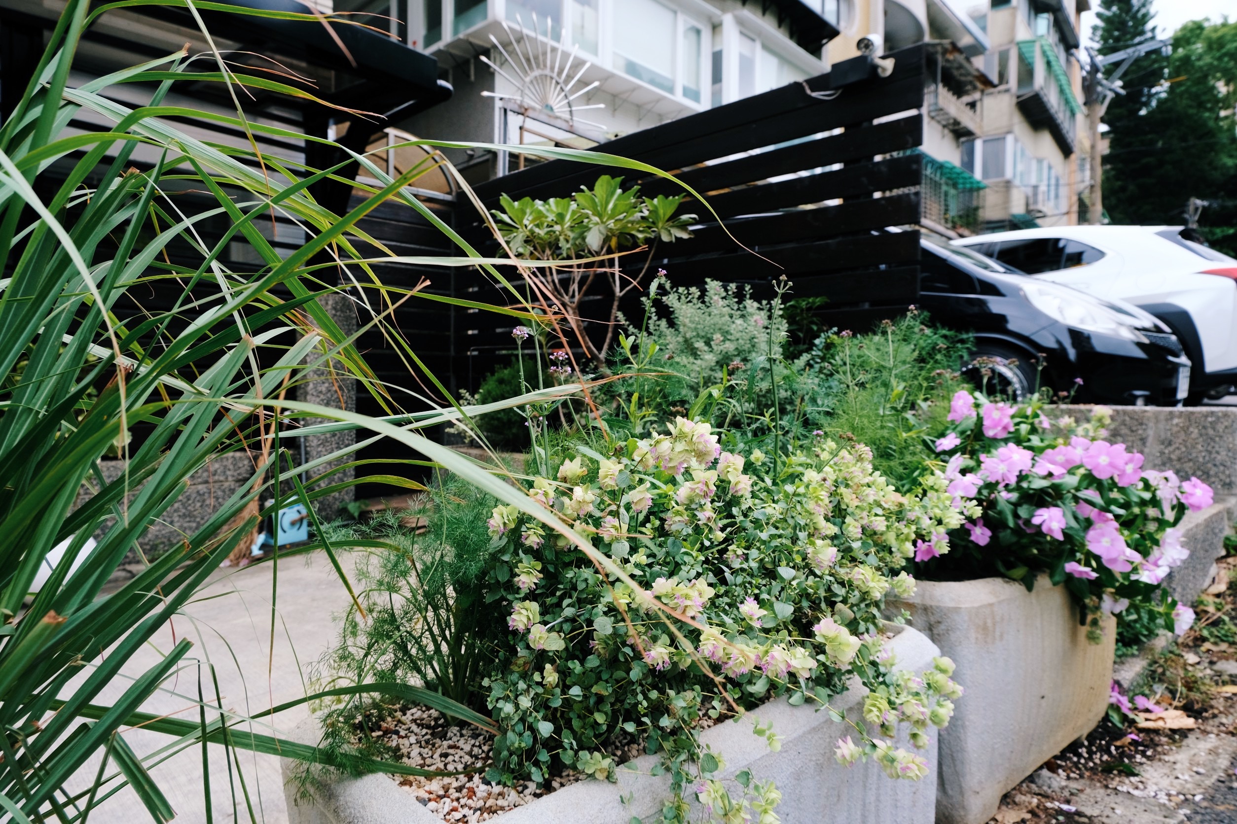 住宅案｜天母｜花園植栽設計-2