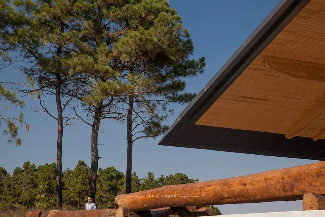 南京弘阳金辉·时光悦府 | 自然与设计的和谐共生-101