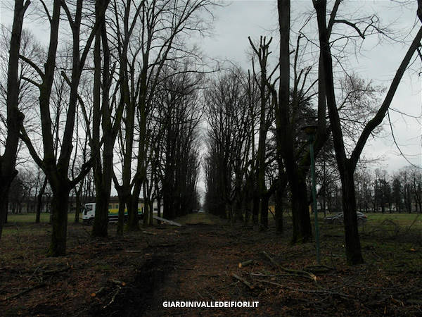 历史公园改造-11