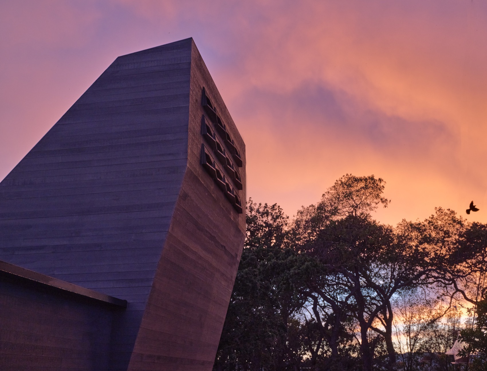 哀鸽鸽舍丨美国加利福尼亚丨S^A | Schwartz and Architecture-71