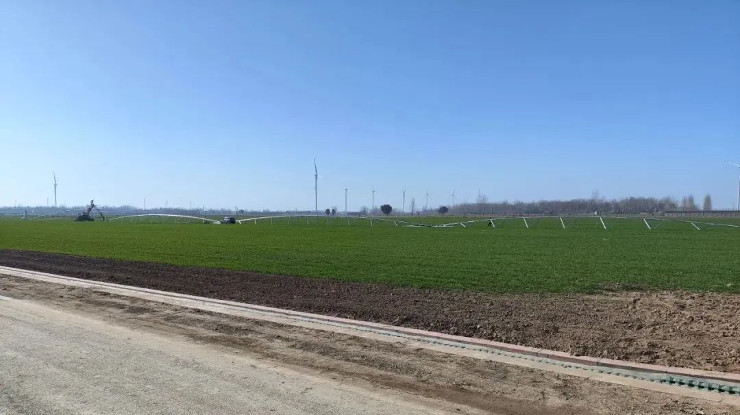 光山县东岳豫南民俗文化村景观设计丨中国河南丨棕榈设计-69