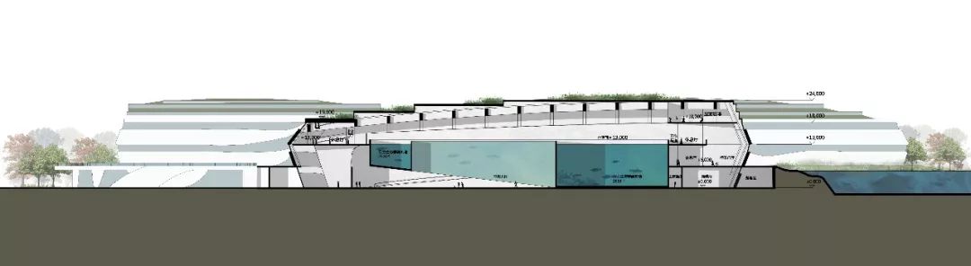 长江口中华鲟自然保护区 欧博迈亚打造世界级生态岛地标-38