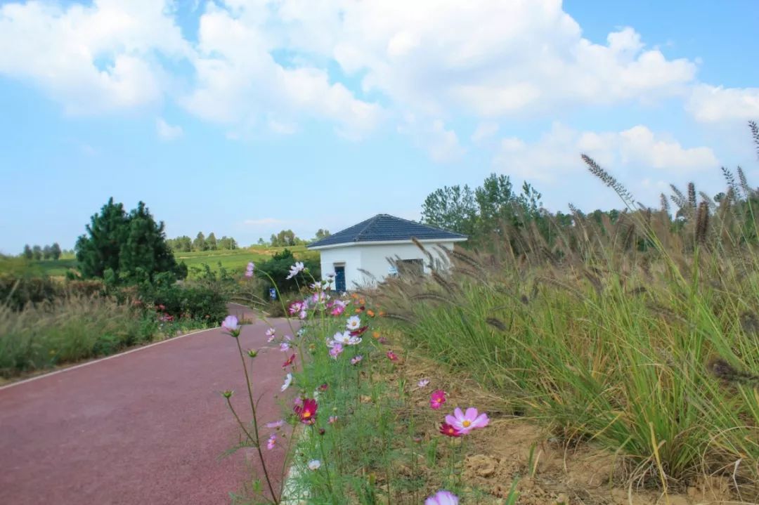 穿过喧嚣 走进时光·来高淳东坝看美丽乡村-10