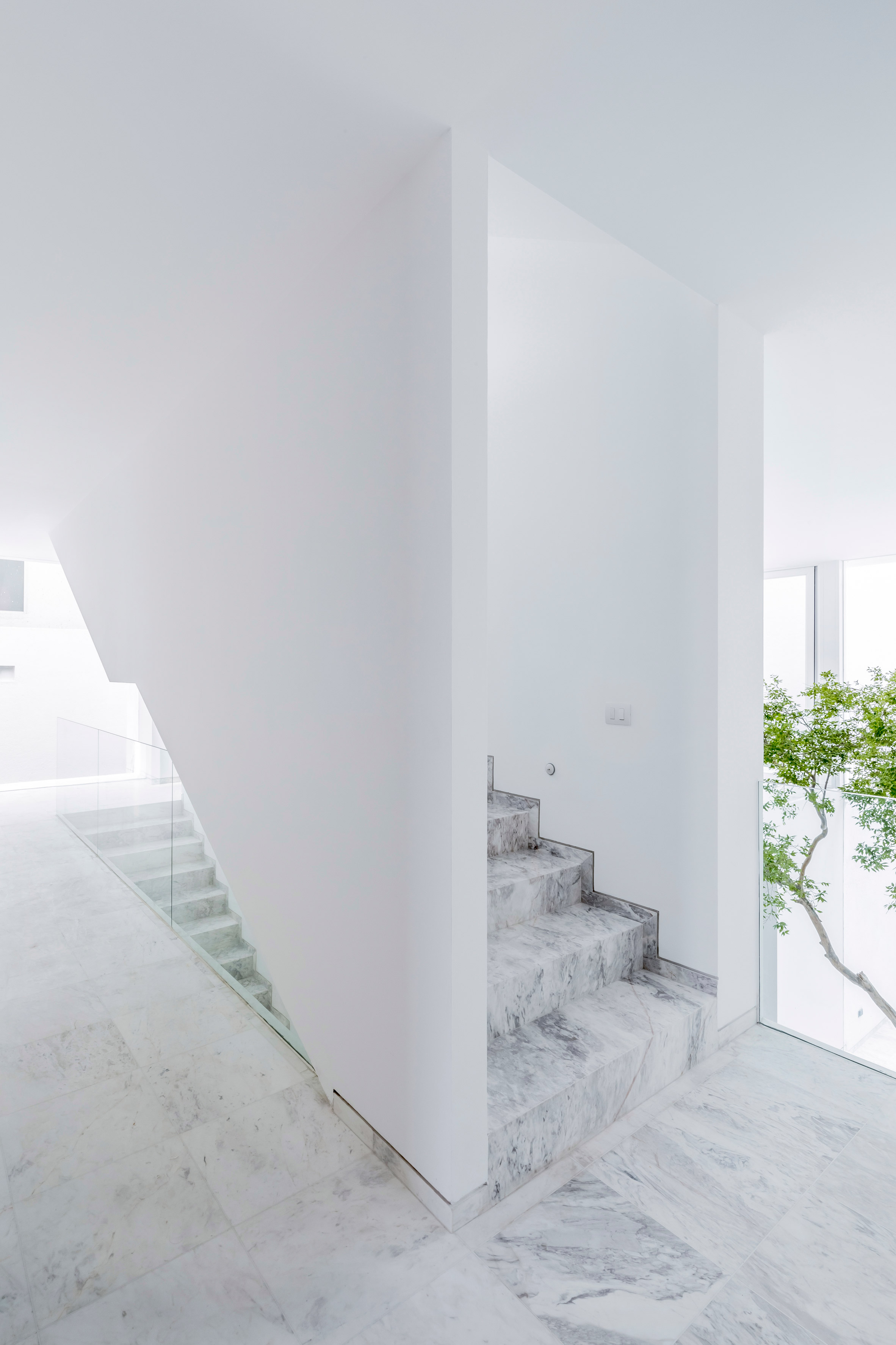 Abraham Cota Paredes' inward-looking Cave House features huge window to tree-planted atrium-20